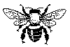 bij1.gif (7180 bytes)